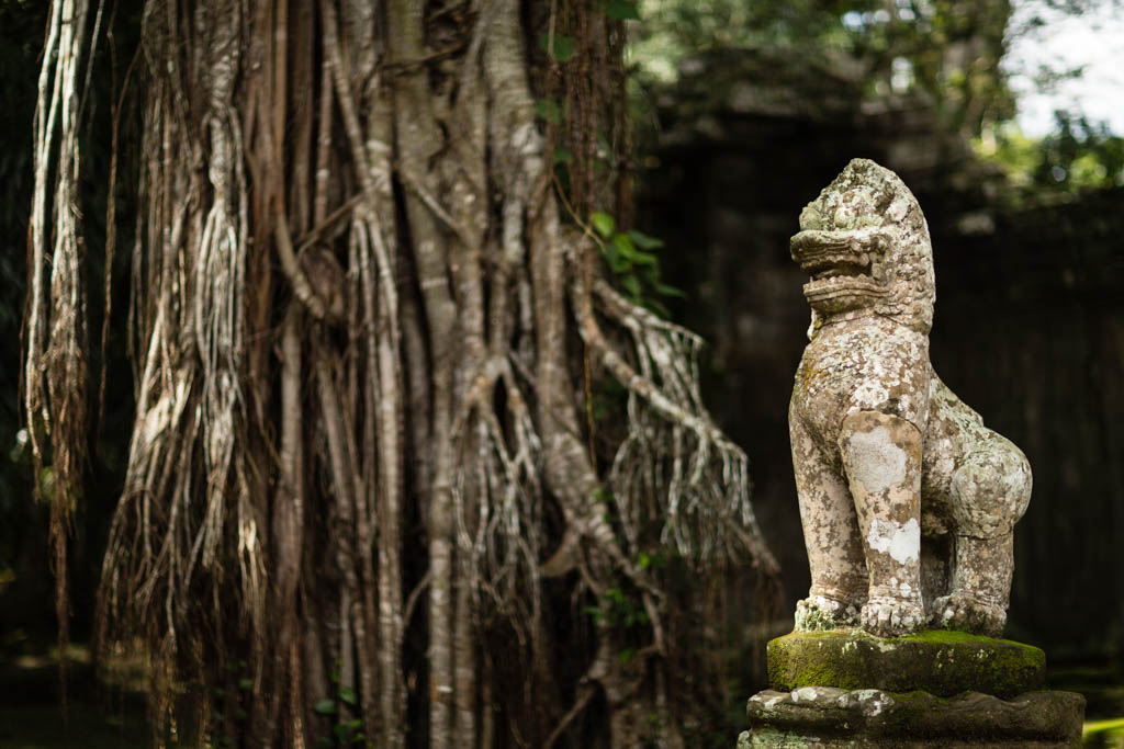 Hidden statue in Angkor